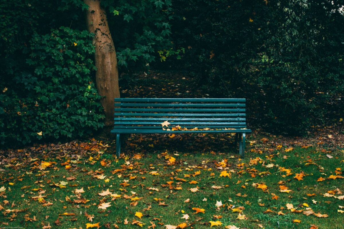 The Bench